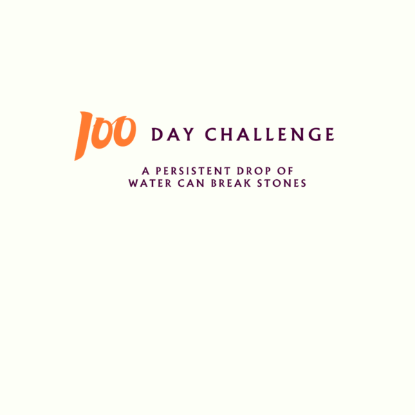 100 Day Challenge Planner